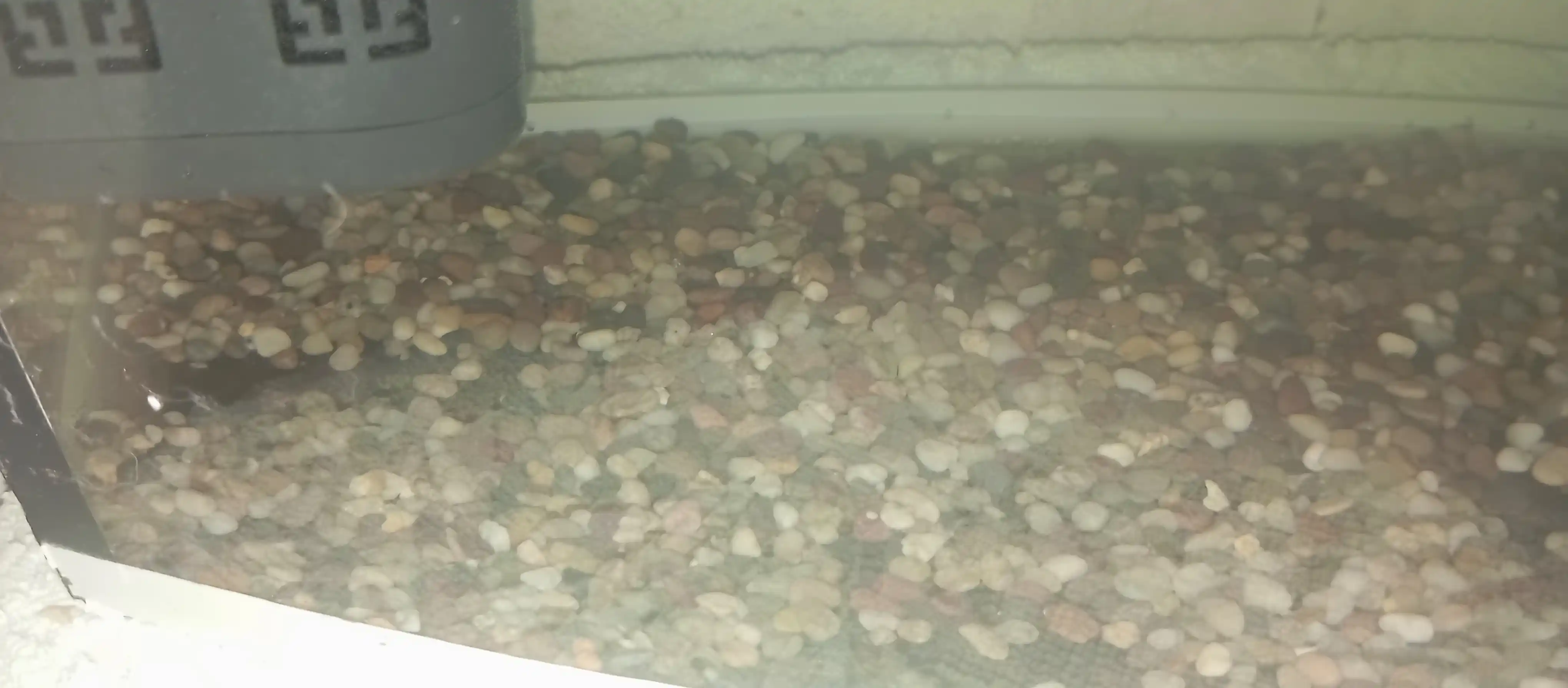 Qadoqlangan toshlar, galka, kvars, akvarium, terrarium, bog', kompozitsiya uchun toshlar