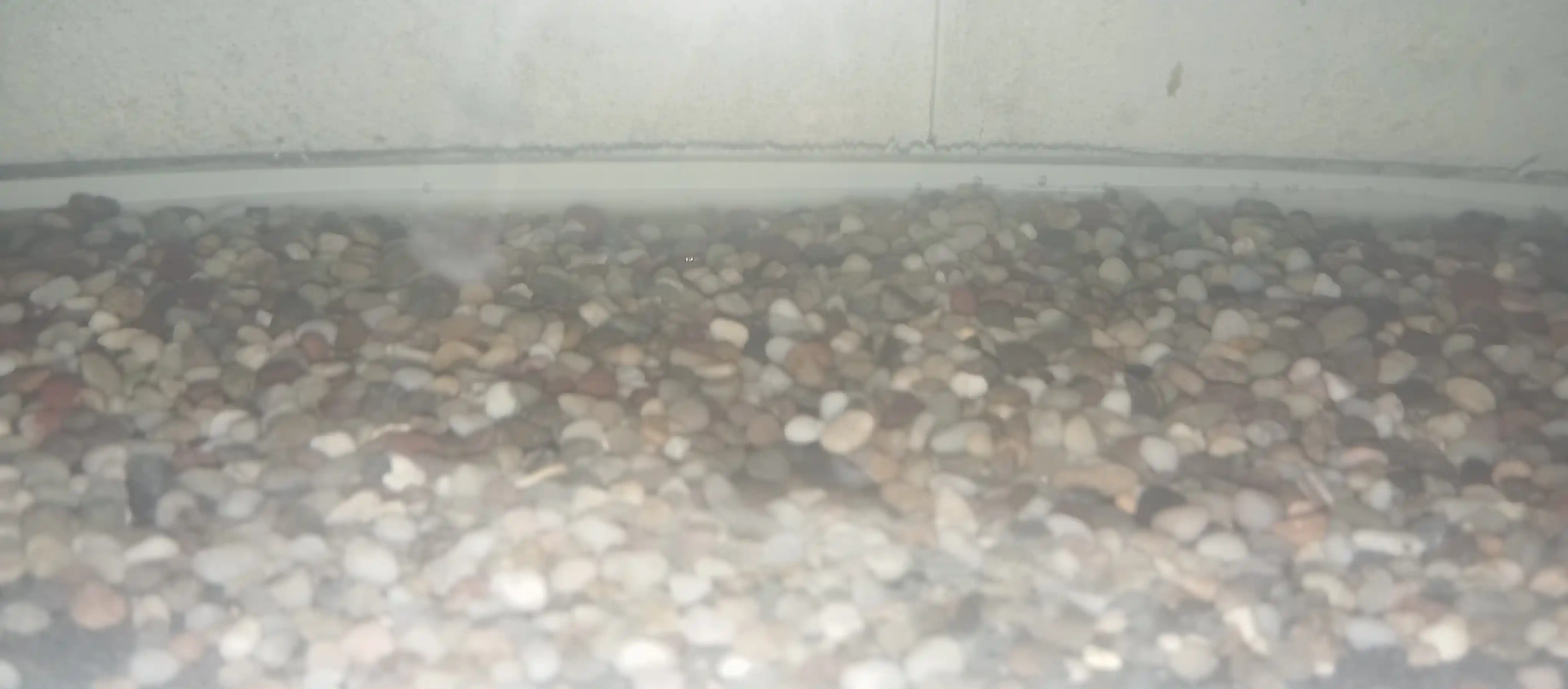Qadoqlangan toshlar, galka, kvars, akvarium, terrarium, bog', kompozitsiya uchun toshlar