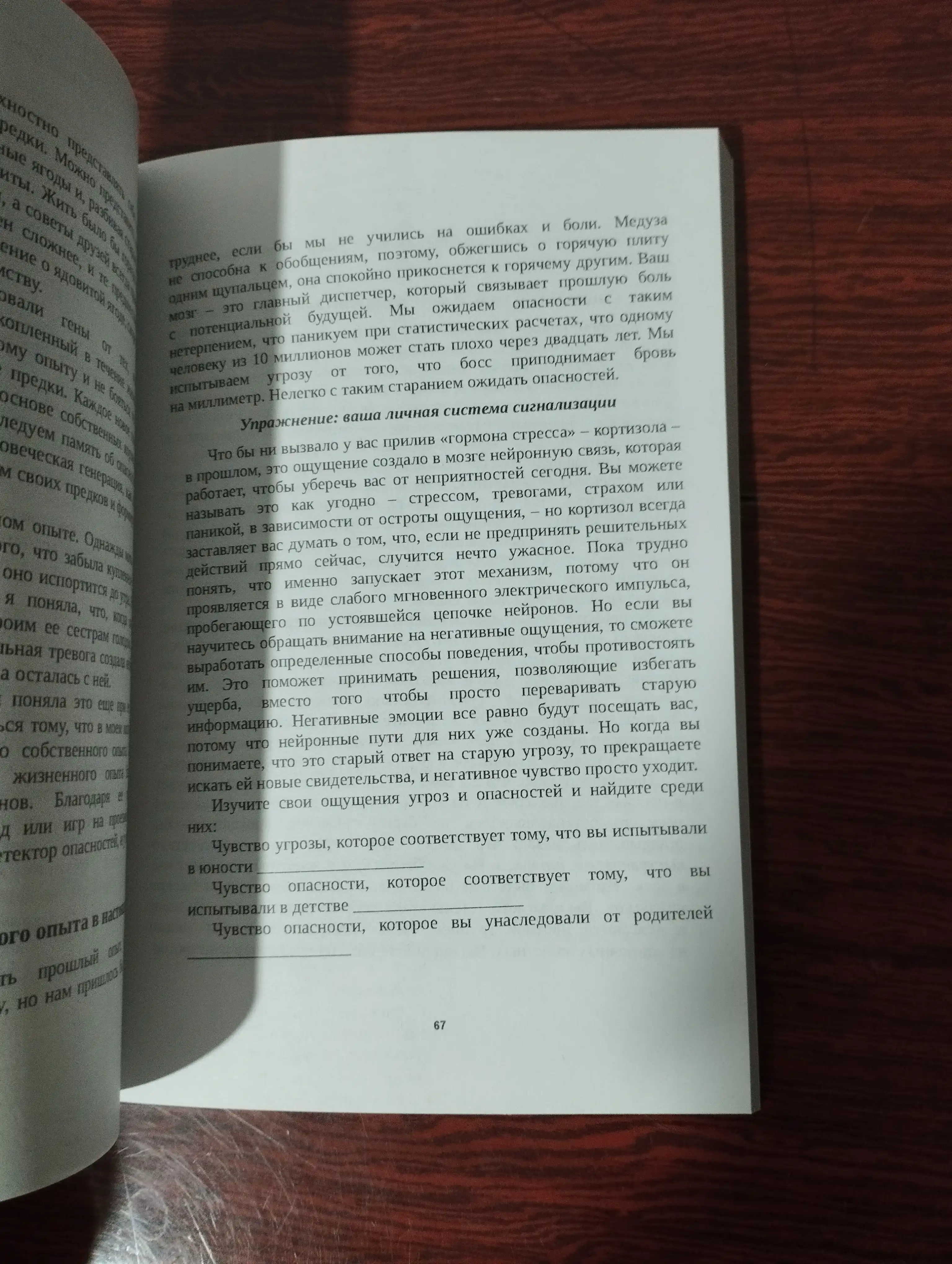 Гормоны счастья. Как приучить мозг вырабатывать серотонин, Лоретта Бройнинг