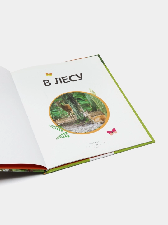 Энциклопедия В лесу