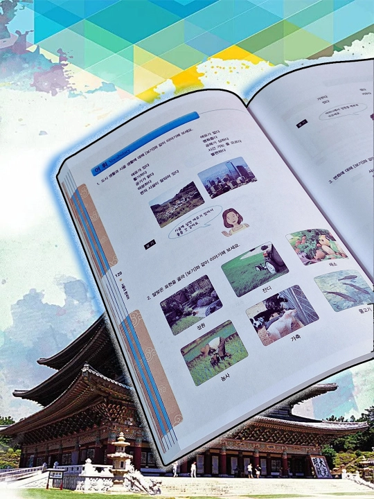 Seoul university korean 3B students book 3B work book, Koreys tili, Koreya