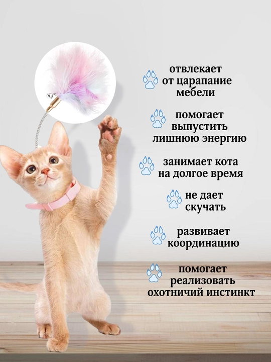 Mushuk o'yinchoq pat yoqa tizer uy hayvonlari o'yini