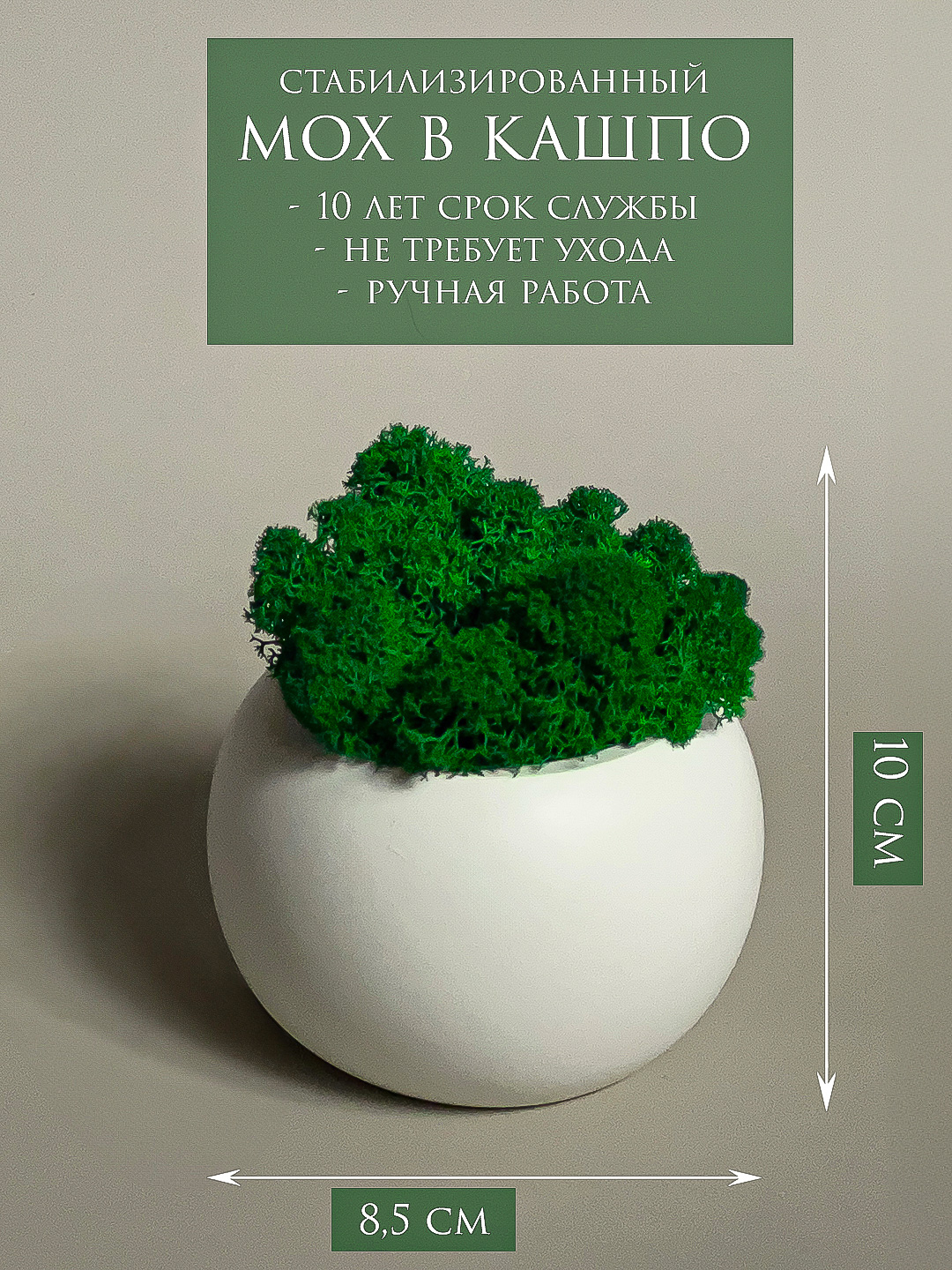 Панели из стабилизированного мха в интерьере спальни