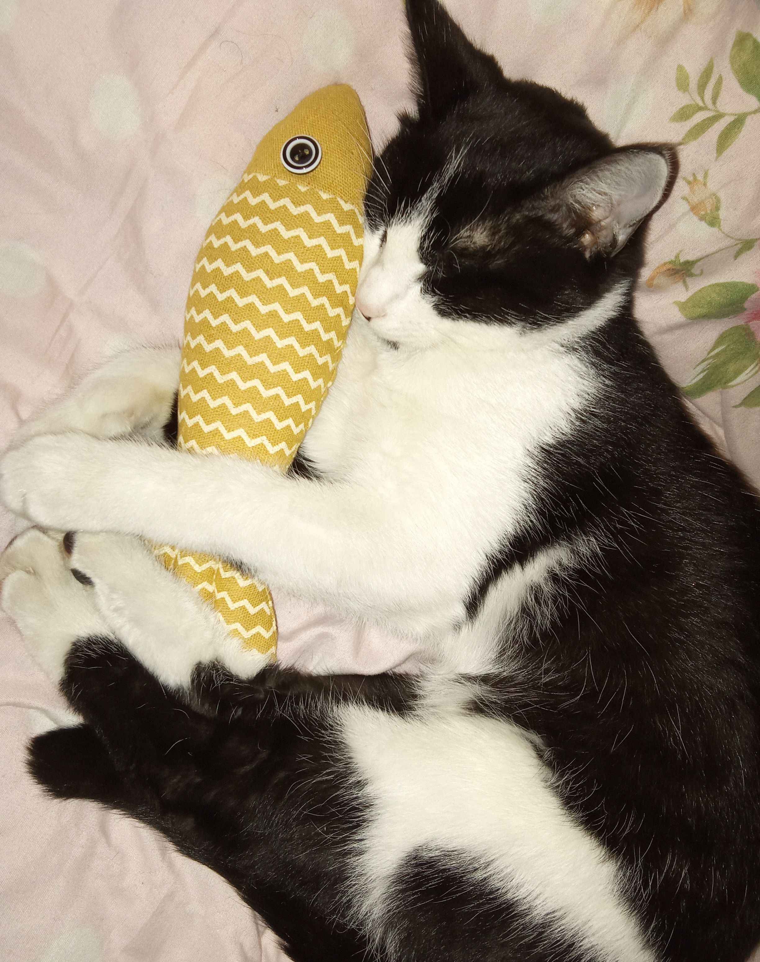 Rus porno video onlayn Vaginal metrogil oqindi