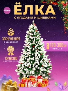 Oq