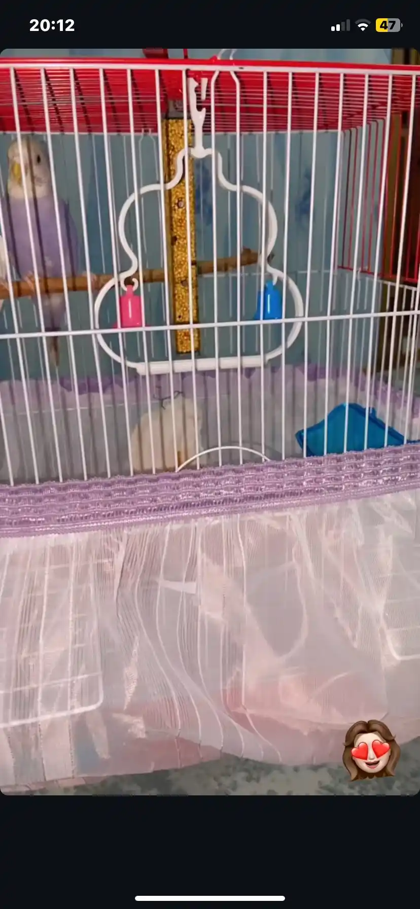 Qushlarning qafasi uchun urug' ushlagich fartuk, taglik Beak's