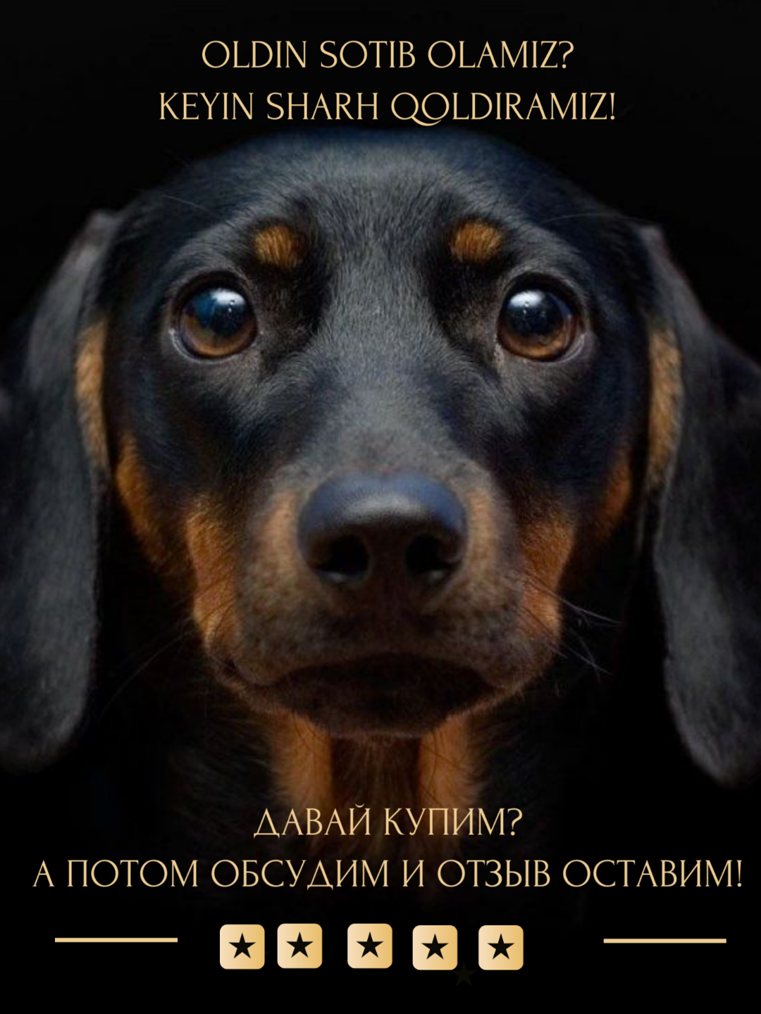 Reflex Лакомство для собак, копченые палочки из говядины, 170 г