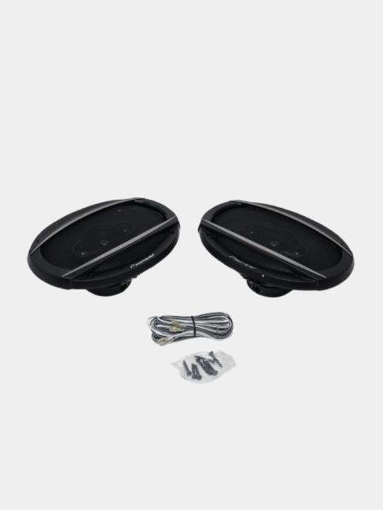 Kolonkalar  Pioneer TS-A6968S, 450 Vt, Veitnam