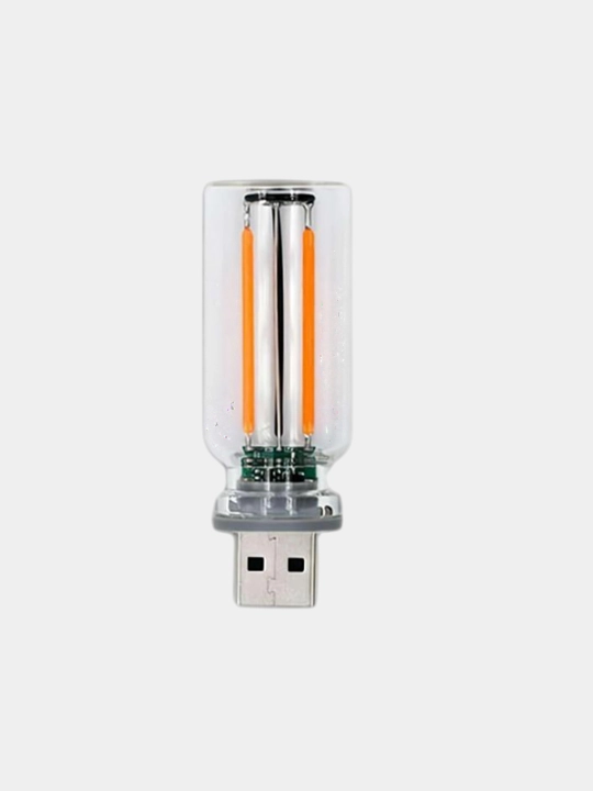 USB chiroqcha, fleshka uslibida