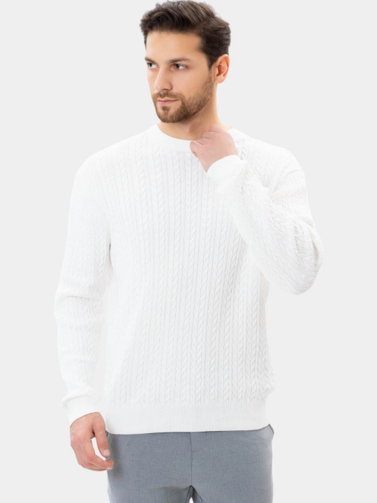 TERRA PRO Erkaklar uzun yengli jemper AW24CL2-29-21108