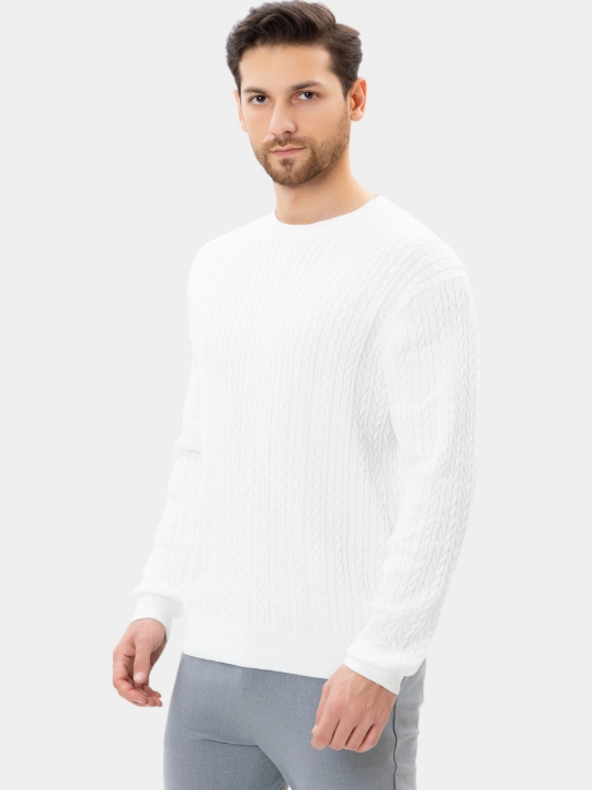 TERRA PRO Erkaklar uzun yengli jemper AW24CL2-29-21108