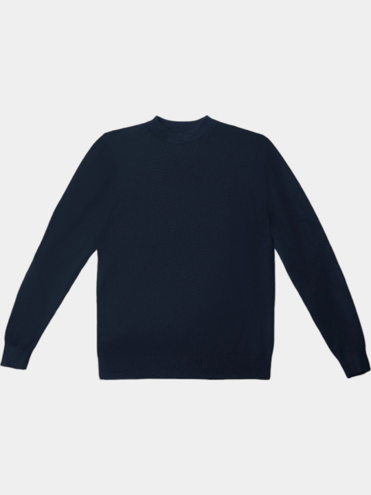 TERRA PRO Erkaklar jemper, uzun yengli AW23CA2N-29-18726