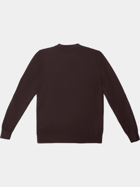 TERRA PRO Erkaklar jemper, uzun yengli AW23CA2N-29-18726