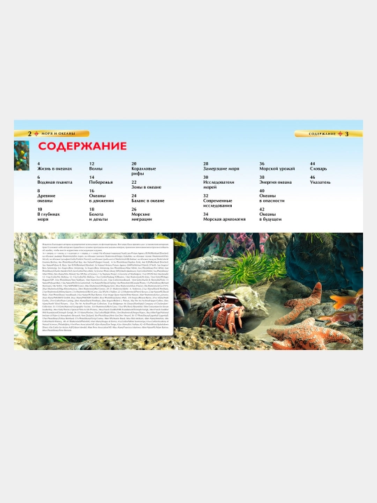Моря и океаны - Маргарет Хайнс