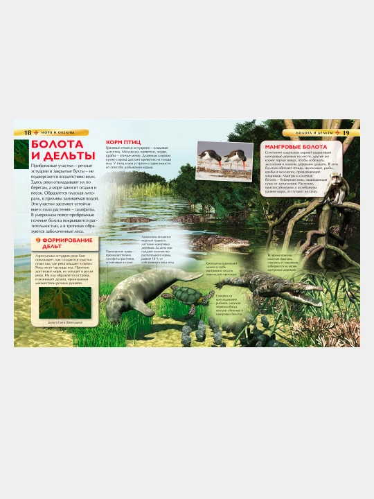 Моря и океаны - Маргарет Хайнс