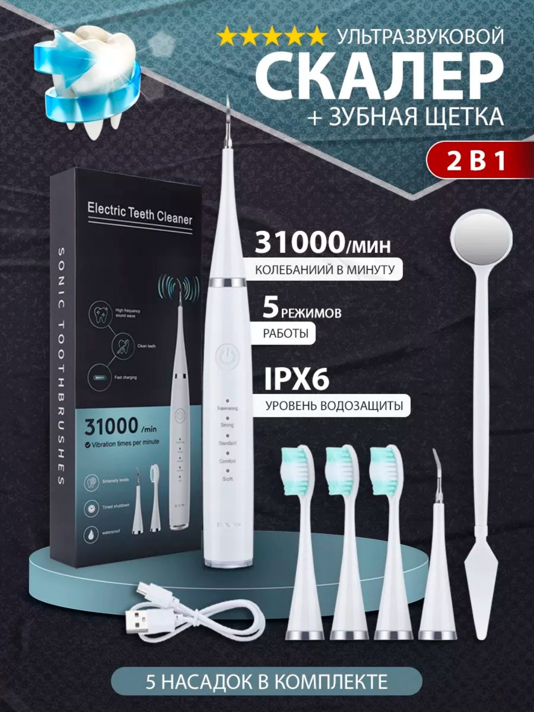 Semiz eshakning yaqindan surati