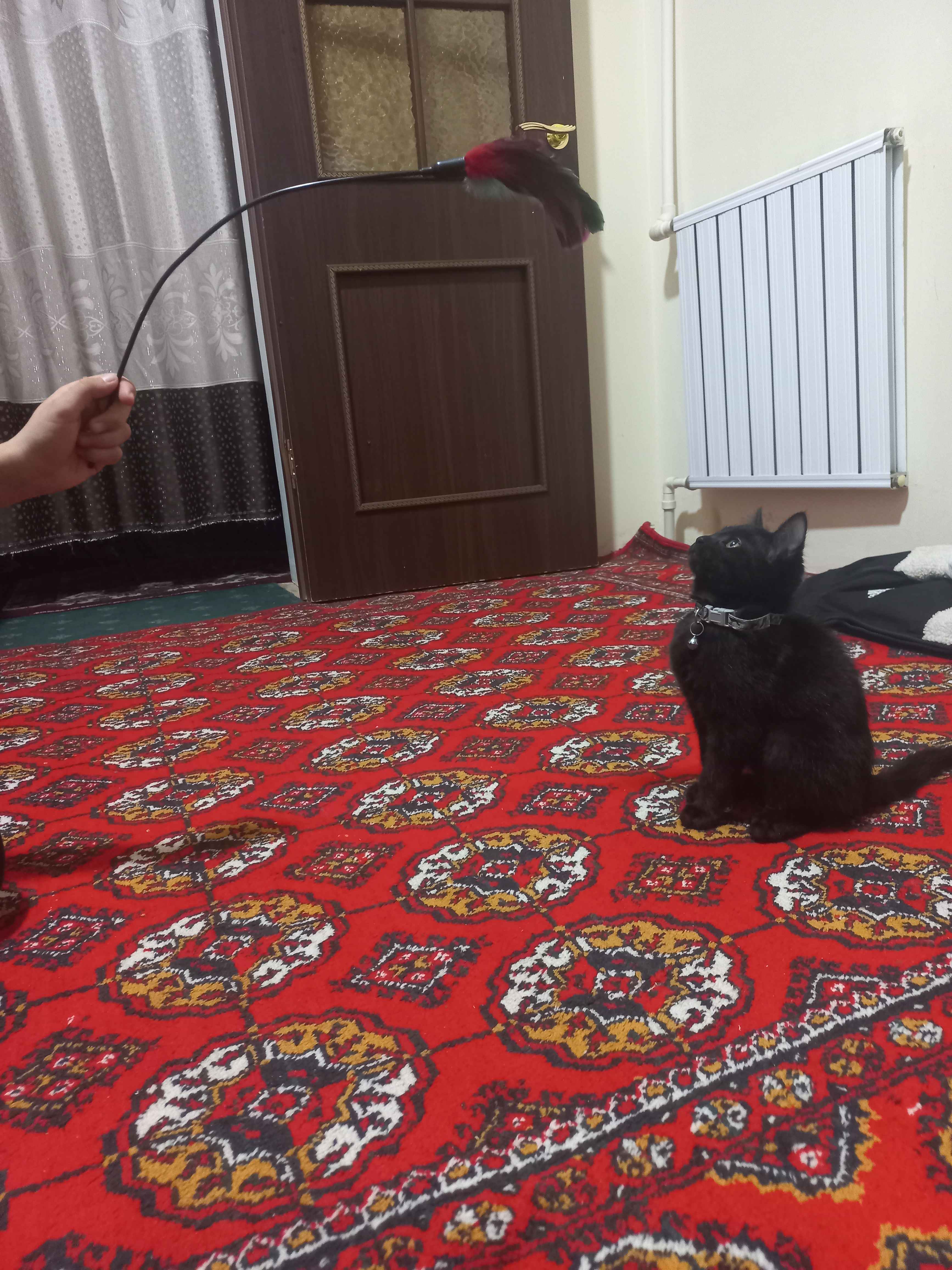 Ofis jinsiy aloqa rasmlar Alisa Selezneva erotik fotosuratlar