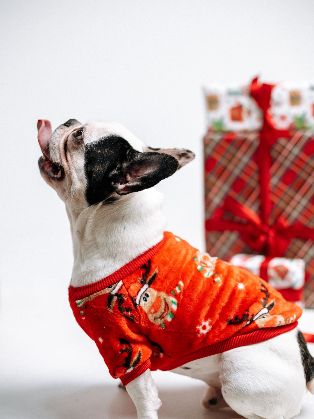 Dasha va Pashka jinsiy aloqa