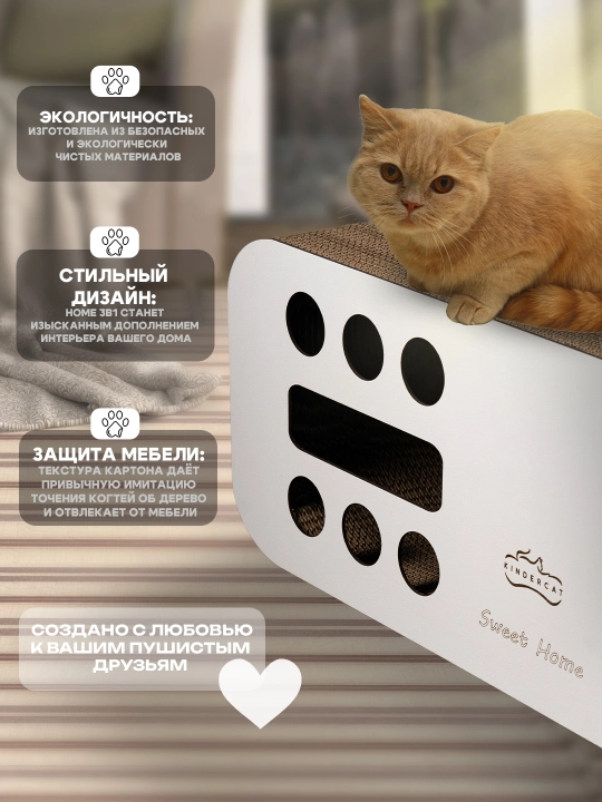 Mushuklar va mushukchalar uchun 3x1 karton tirnoqcha, Home KinderCat