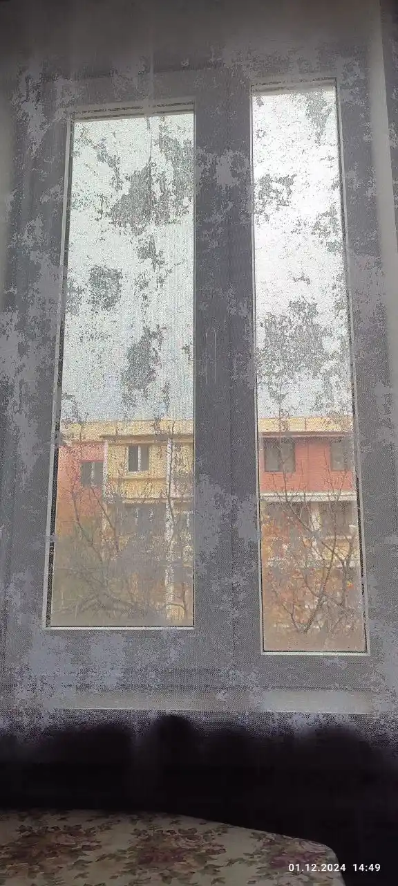 Parda lentasidagi tyul