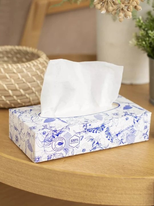 Kosmetik qog'oz salfetkalar Luscan, 2 qavatli, paket 100 dona yoki kub uchun 90 dona