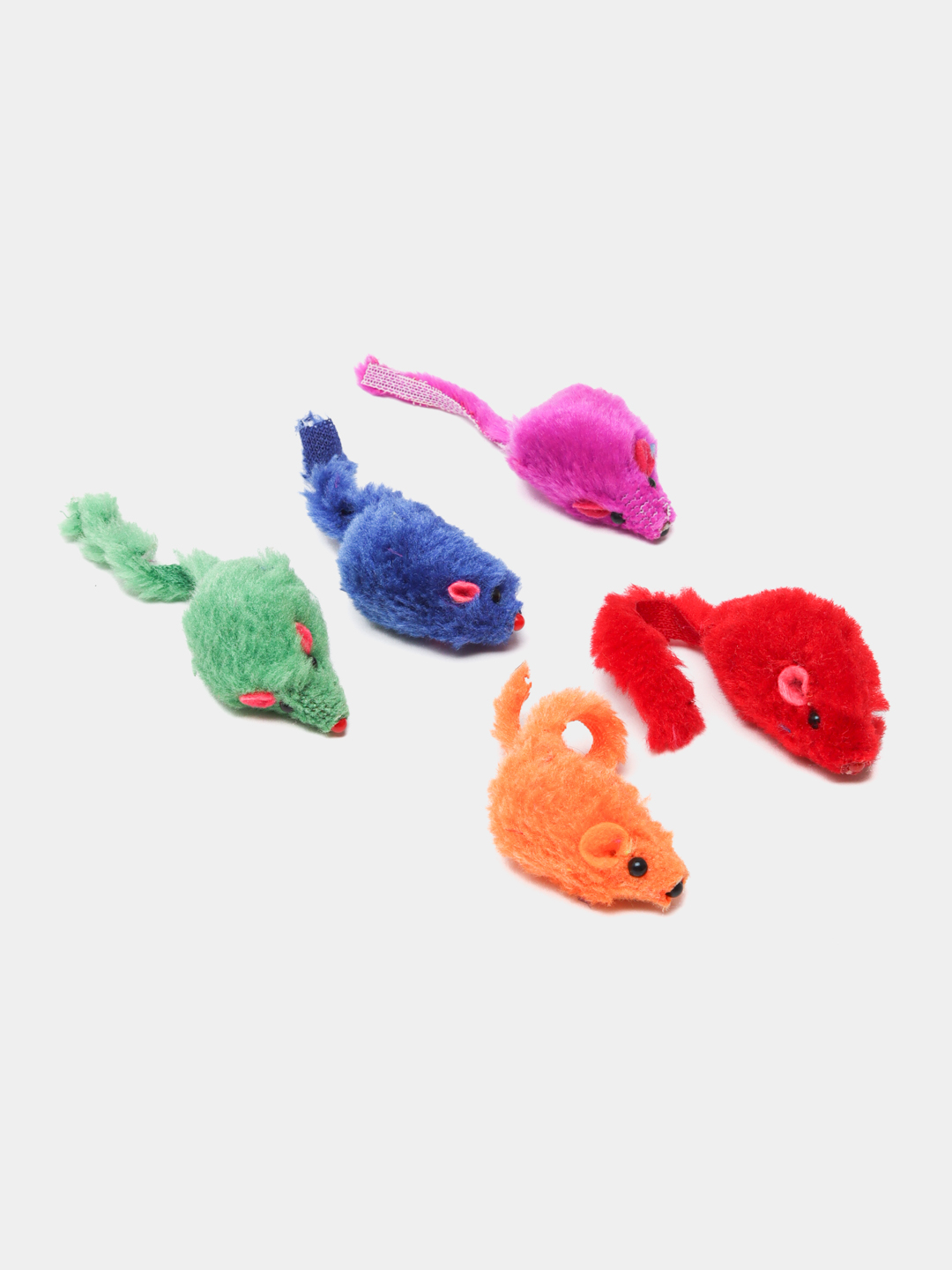 Fotosuratdagi mushuk