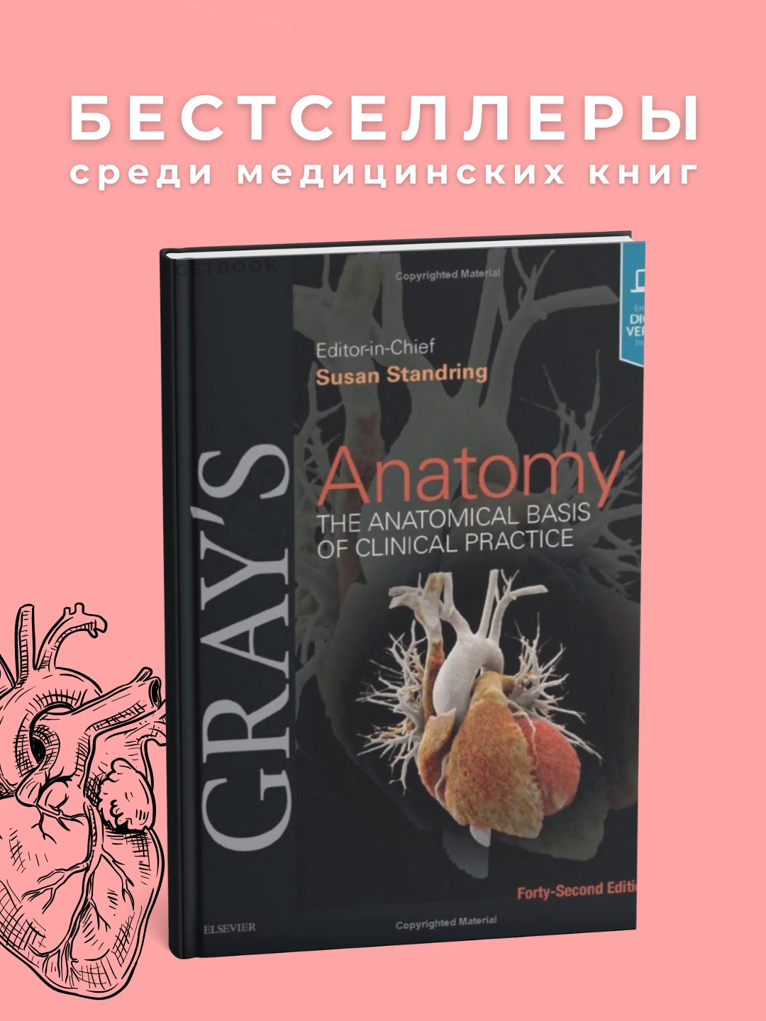 Gray's Anatomy The Anatomical Basis of Clinical Practice 42nd