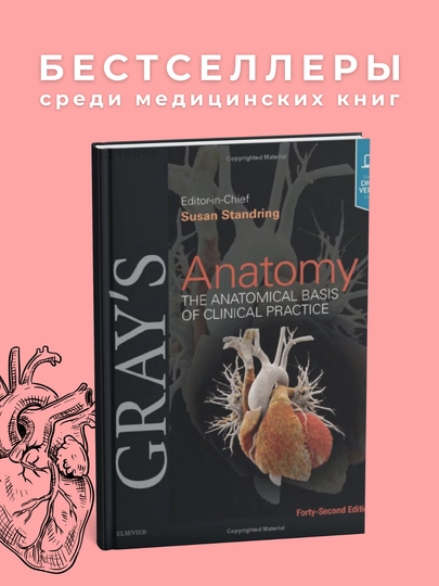 Gray's Anatomy The Anatomical Basis of Clinical Practice 42nd