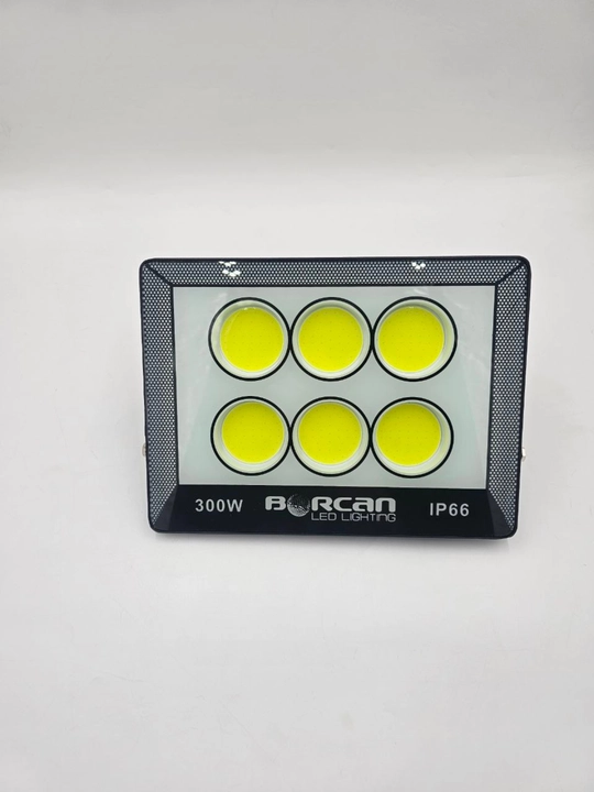 Projektor svetodiodli Borcan, 50-600 Vt LED, 220-240 V