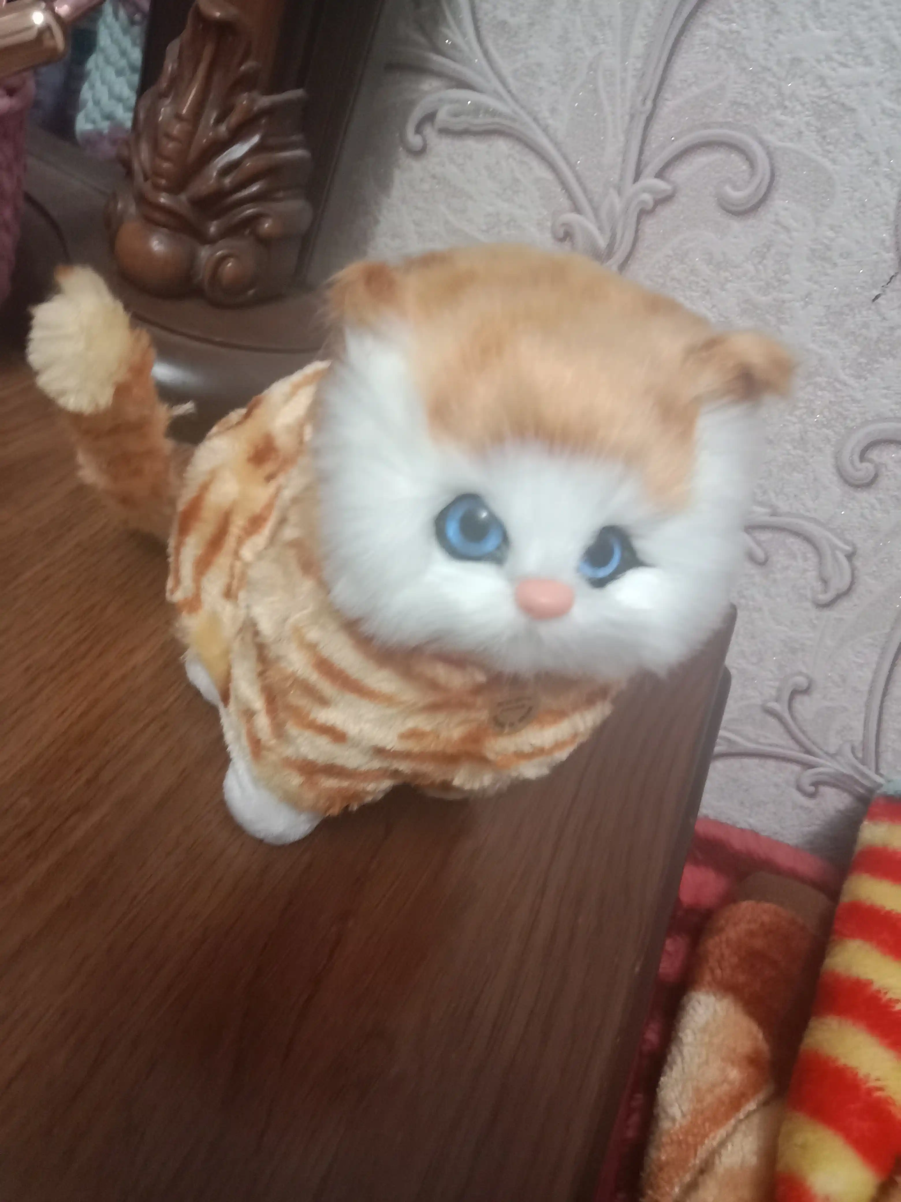Игрушечный кот