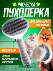 Ota ona qizi jinsiy aloqa video