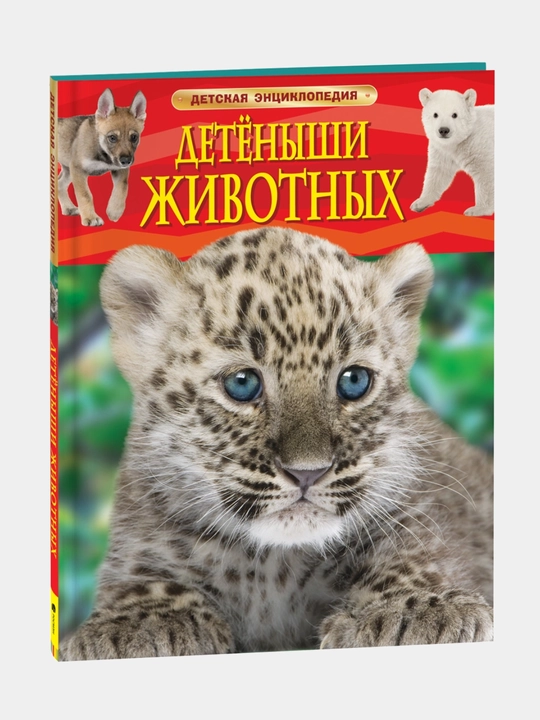 Детеныши животных, детская энциклопедия - 
