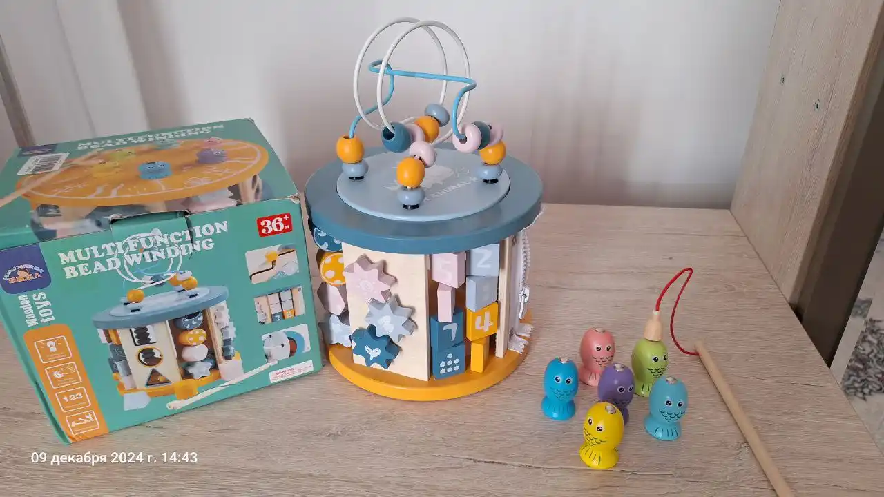 Montessori 1 + o'quv o'yinchog'i, yog'och soerter, vosita va mantiqni rivojlantirish