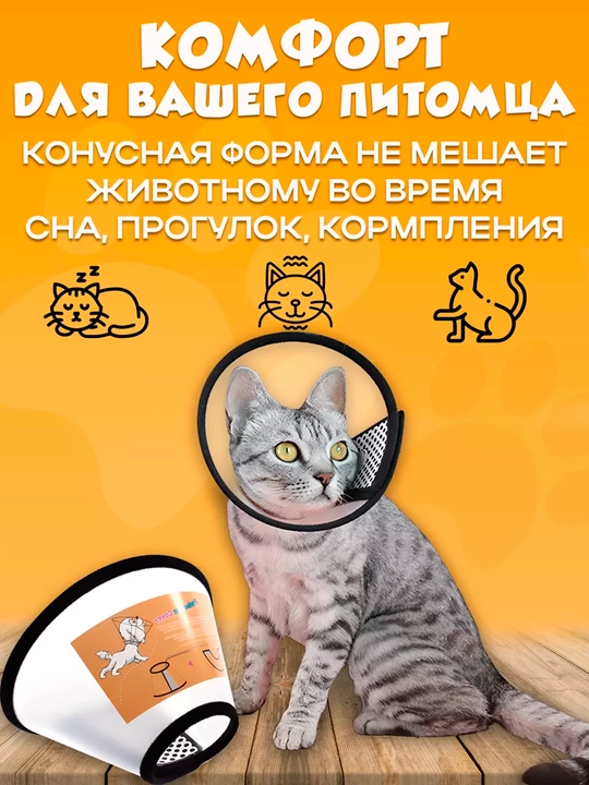 Itlar va mushuklar uchun yoqa