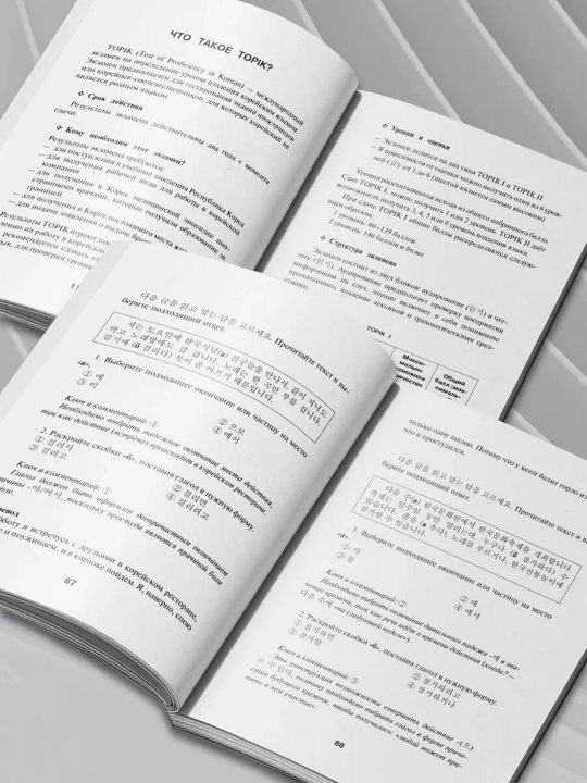 Korei`skii` iazy`k. Grammatika dlia nachinaiushchikh. Urovni TOPIK I 1-2  Chun In Sun, Pogadaeva.A.V