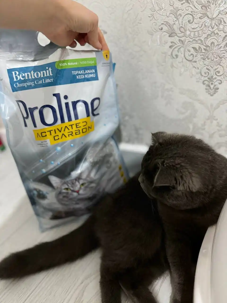 Proline Activated Carbon, наполнитель для кошачьего туалета угольный, 8.5 кг