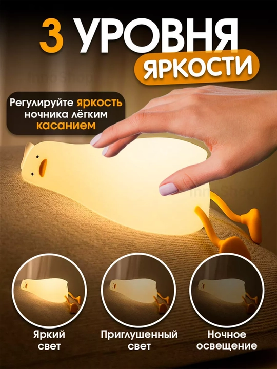 Tungi chiroq, silikon chirog‘i, Pandochka, O‘rdakcha, Karam, Yakkashox, Quyon
