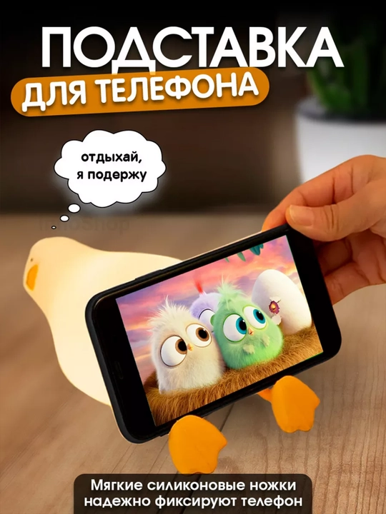 Tungi chiroq, silikon chirog‘i, Pandochka, O‘rdakcha, Karam, Yakkashox, Quyon
