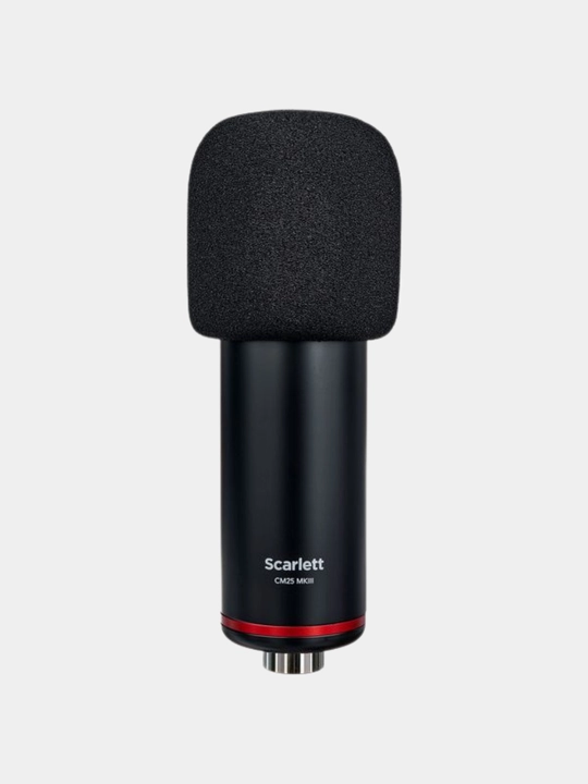 Professional studiya ovoz yozuvlari uchun to'plam, Focusrite Scarlett 2i2 Studio 4th Gen