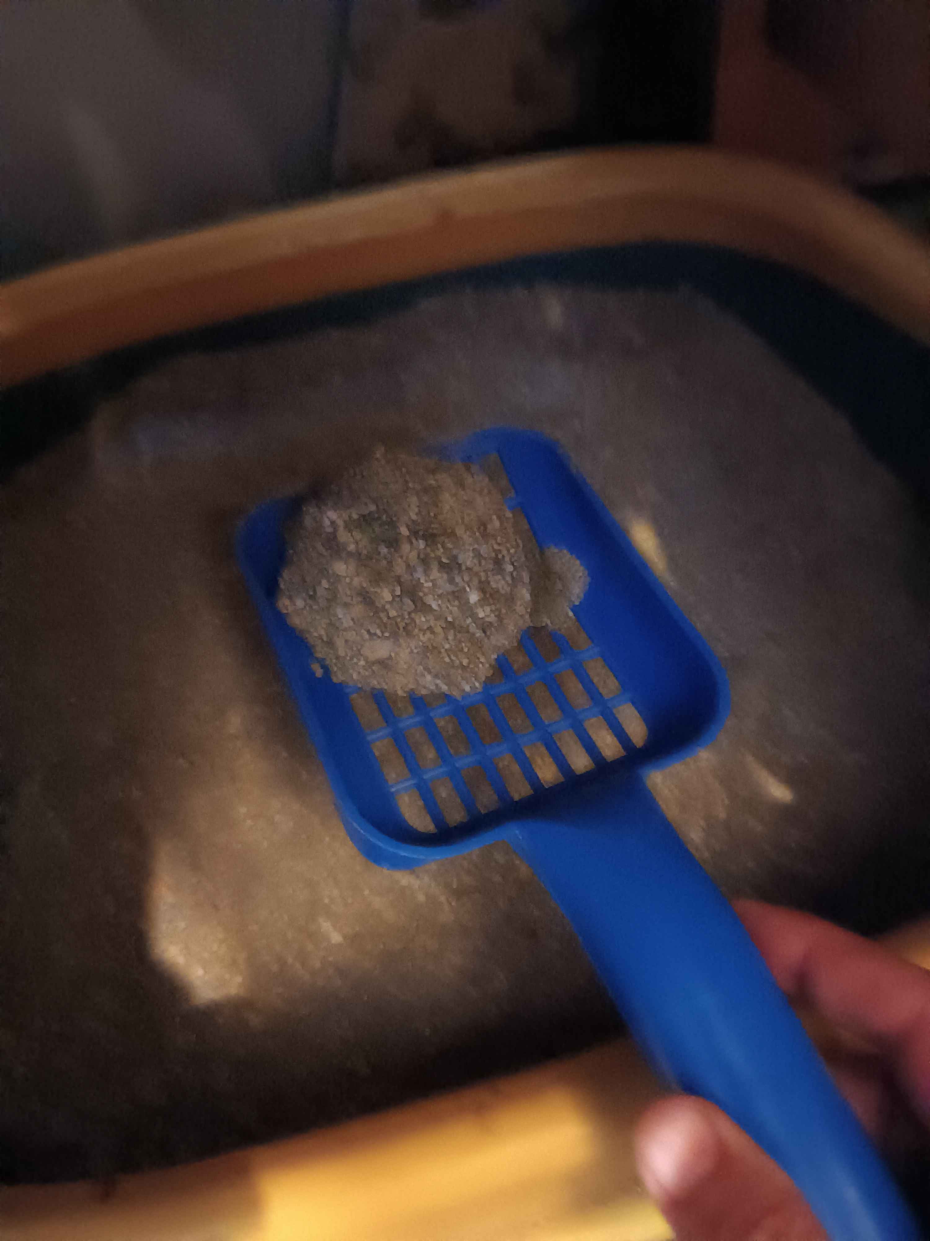 Proline Activated Carbon, наполнитель для кошачьего туалета угольный, 8.5 кг