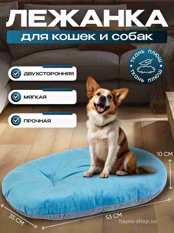 Aldagan porno xotinlar ishtirokidagi eng yomon filmlar