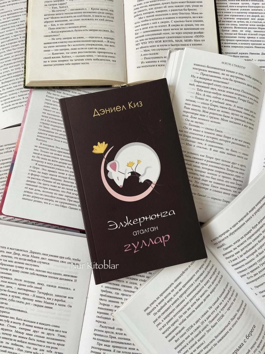 Книга Дэниел Киз Элжернонга аталган гуллар, Роман, Фантастика, Психологик драма