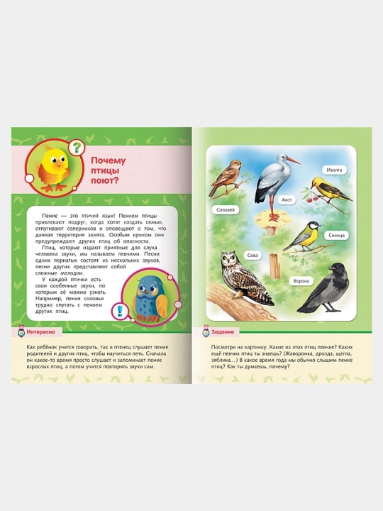 Книжка Почемучка, Малышам о птицах, А5 формат, 16 листов