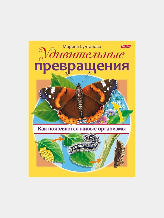 Knizhka Udivitel'nyye prevrashcheniya Kak poyavlyayutsya zhivyye organizmy, A5 format, 8 varaq