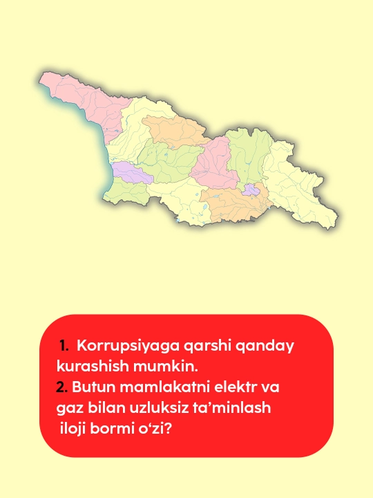 Kitob Larisa Burakova Gruziya muvaffaqiyatga qanday erishdi?, Islohotlar, Iqtisodiyot
