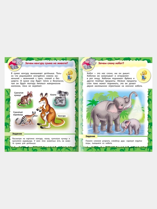 Kitob Malen'komu pochemuchke, O zhivotnykh, A5 format, 8 varaq