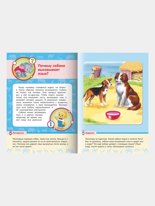 Pochemuchka, Malisham o jivotnix kitobcha, A5 format, 16 varaq