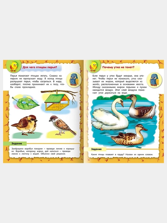 Malen'komu pochemuchke kitobcha, Qushlar haqida, A5 format, 8 varaq