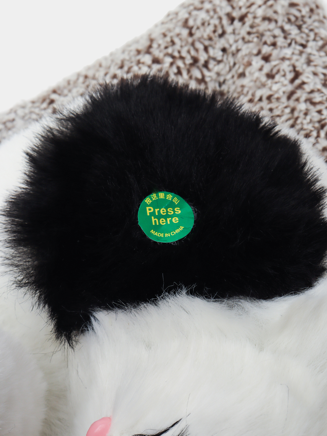 Mushuk va eshak ustida konfet