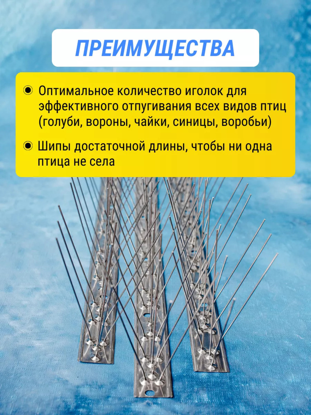 Voyaga etgan ayollarda orgiya videosi bor Rus shilimshiq va uning bekasi